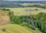 99 783 erreicht den Kreuzungsbahnhof Garftitz. (18.06.2025) <i>Foto: Joachim Schmidt</i>