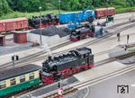 In der Ausfahrt aus Putbus trifft 99 1781 mit P 113 nach Göhren auf 99 1784 an der Bekohlung und Gastlok 86 1744. (22.06.2025) <i>Foto: Joachim Schmidt</i>