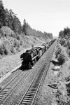 Zwischen Marktleuthen und Kirchenlamitz kommt 44 333 vom Bw Weiden (Oberpf) mit einem Güterzug angerollt. (01.08.1963) <i>Foto: Karl-Ernst Maedel</i>