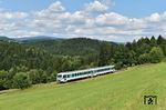 628 256 zwischen Waldkirchen und Röhrnbach. Die Bergkette am Horizont bildet die Grenze zwischen Bayern und Böhmen.  (28.06.2025) <i>Foto: Ralf Opalka</i>