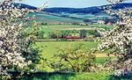 Während sich damals viele Fotografen mit Schaudern abwandten, wenn dieses knatternde Ungetüm auf der Bildfläche erschien, sind heute die Fotos eines 795 in Königshofen (Baden) definitiv seltener als die einer 23er oder 50er. (05.1975) <i>Foto: Karsten Risch</i>