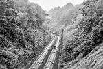 Nach anhaltenden Regenfällen am 26. Mai 1983 kam es im Einschnitt des früheren Königsdorfer Tunnels am Bahnhof Großkönigsdorf zu einem Hangrutsch, der das Gleis Aachen-Köln unter einer Schlamm- und Geröllawine begrub. Um 21.16 Uhr fuhr der D 225 "Ostende-Wien-Express" zwischen den Bahnhöfen Horrem und Königsdorf mit einer Geschwindigkeit von 130 km/h in dieses Hindernis und entgleiste.  (27.05.1983) <i>Foto: Joachim Schmidt</i>