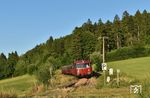 In der Ortslage Hauzenberg zwischen Waldkirchen und Röhrnbach trifft die vierteilige Schienenbusgarnitur (798 776, 998 034, 998 840 und 798 706) auf ein typisches Nebenbahn-Ensemble mit Telegrafenmasten, Pfeiftafeln, Kilometer-Stein und emailliertem F-Kasten. (28.06.2025) <i>Foto: Ralf Opalka</i>