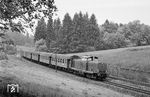V 100 1358 (Bw Ulm) mit P 1318 nach Friedrichshafen Stadt bei Aulendorf-Zollenreute. Heute befindet sich hier eine Kläranlage. (03.06.1966) <i>Foto: Wolfgang Jahn</i>