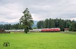 Zwischen Fischen und Altstädten brummen 218 415 und 218 411 vor IC 2012 bei Unterthalhofen vorbei. (04.08.2025) <i>Foto: Atijana Schmidt</i>
