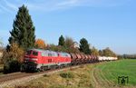 217 013 und 217 017 mit RC 56268 bei Mühldorf (Oberbay). (27.10.2005) <i>Foto: Stefan von Lossow</i>