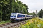 Statt der nach dem Fahrplan erhofften Lok der BR 110 erschien nur TRI 145 040 vor dem DLr 90570 (Köln Bbf - Paderborn) in den blühenden Bahnlandschaften bei Solingen-Ohligs. Der Zug wird später die Fußballfans des SC Paderborn 07 zum Spiel in der 2. Bundesliga nach Preußen Münster bringen. (08.08.2025) <i>Foto: Joachim Bügel</i>