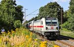 147 573 mit IC 2048 (Dresden - Karlsruhe) in den blühenden Bahnlandschaften von Solingen-Ohligs. (10.08.2025) <i>Foto: Joachim Bügel</i>