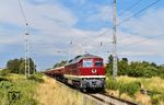 231 012 der Wedler Franz Logistik Potsdam mit einem Schotterzug von Lüptitz nach Wustermark in Jesewitz. Rechts ist das fast zugewachsene Streckengleis nach Eilenburg zu sehen. Das stillgelegte, aber noch vorhandene Überholungsgleis gegenüber ist komplett im Aufwuchs verschwunden. (14.07.2025) <i>Foto: Ralf Opalka</i>