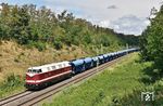 Auf der leichten Steigung aus dem Muldetal zwischen Eilenburg und Jesewitz hatte 118 719 bei Wölpern mit dem beladenen Schotterzug hörbar gut zu tun. (25.07.2025) <i>Foto: Ralf Opalka</i>