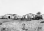 Fahrzeugversammlung der Sylter Inselbahn in Westerland Inselbahnhof in direkter Nachbarschaft zum Bundesbahnhof. (06.04.1969) <i>Foto: Jörg Schulze</i>