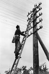 Die klassische Variante der bahneigenen Nachrichtenübermittlung lief über an Holzmasten angebrachte Freileitungen mit Porzellanisolatoren und Telegrafendrähten. Über sie wurden z.B. die Zugmeldungen über das bahneigene Telefonnetz abgegeben. Die Bahnselbstanschlussanlage (BASA) war einst mit rund 120.000 Teilnehmern eines der größten eigenständigen Telekommunikationsnetze (Festnetz) in Deutschland. Der Begriff "Selbstanschluss" bezieht sich auf den Verzicht einer manueller Vermittlungsstelle, wie sie im öffentlichen Bereich zu der damaligen Zeit noch üblich war ("Das Fräulein vom Amt"). Dieser Selbstwählbetrieb im Orts- und Fernnetz konnte bei den Eisenbahnen ab 1928 sehr viel früher verwirklicht werden als im öffentlichen Fernsprechnetz der Reichspost, weil hier keine Gebührenermittlung erforderlich war.  (1956) <i>Foto: BD Mainz, Slg. W. Löckel</i>