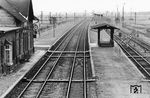 Der Bahnhof Limburgerhof ist ein Durchgangsbahnhof an der Bahnstrecke Mannheim–Saarbrücken, die im Wesentlichen aus der Pfälzischen Ludwigsbahn Ludwigshafen – Bexbach hervorging. Eröffnet wurde er am 11. Juni 1847, als der Ludwigsbahn-Abschnitt Ludwigshafen – Neustadt in Betrieb ging, unter der Bezeichnung „Mutterstadt“, da er zunächst der gleichnamigen Gemeinde diente. Seine heutige Bezeichnung erhielt er 1930, als die Siedlung „Limburgerhof“ zu einer selbständigen Gemeinde erhoben wurde. Inzwischen wurde er zum Haltepunkt zurückgebaut.  (1956) <i>Foto: BD Mainz, Slg. W. Löckel</i>