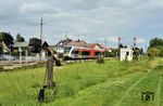 Die als Horlofftalbahn bezeichnete Bahnstrecke Friedberg (Hessen) – Wölfersheim-Södel soll zusammen mit der in Reichelsheim (Wetterau)-Beienheim abzweigenden Strecke nach Nidda bis 2026 modernisiert werden. Dann wird es mit der hier zu sehenden nostalgischen Bahnherrlichkeit vorbei sein. Im Bahnhof Beienheim (HLB) ist HLB 509 109 als RB 24633 (Wölfersheim-Södel - Friedrichsdorf/Taunus) eingetroffen. (01.09.2021) <i>Foto: Zeno Pillmann</i>