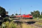 Die einzigen "echten Züge" auf der Horlofftalbahn sind die lokbespannten Verstärkungszüge von DB-Regio während der Berufsverkehrszeiten. Im Bahnhof Beienheim trifft 245 019 mit RB 15232 (Frankfurt/M - Nidda) auf zwei Triebwagen der HLB. (30.06.2025) <i>Foto: Zeno Pillmann</i>