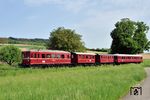 DEBG VT 3 mit B 46, B 133 und VT 109 bei Hammerstein. Der VT 3 war 1928 von der Zwickauer Fahrzeugfabrik, vormals Schumann AG in Werdau für die Deutsche Reichsbahn-Gesellschaft gebaut worden. 1956 kam er ins Kandertal. 1960 wurde er zu einem Schlepptriebwagen umgebaut und erhielt dabei anstelle der wassergekühlten luftgekühlte Dieselmotoren. Damit entfiel die Wasserkühlanlage. 1979 wurde er ausgemustert und von der Kandertalbahn erworben. Entsprechend dem baulichen Zustand der 1960er Jahre erhielt er dort einen roten Anstrich mit beigen Zierlinien.  (02.05.2025) <i>Foto: Zeno Pillmann</i>