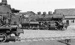 24 058 neben 93 897 im Bw Rahden (Kr Lübbecke). Der Spitzname "Steppenpferd" für die Baureihe 24 soll von ihrer Fähigkeit stammen, auch bei höheren Lasten im Flachland zügig unterwegs zu sein. (22.08.1964) <i>Foto: Karl Wyrsch, Slg. D. Ammann</i>