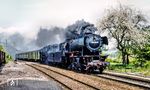 023 042 und 023 039 fahren mit N 7523 (Lauda - Bad Mergentheim) in Edelfingen ein. Die Vorspannlok wird in Bad Mergentheim den N 7527 nach Weikersheim übernehmen, die Zuglok fuhr mit N 7532 zurück nach Lauda.  (05.1975) <i>Foto: Karsten Risch</i>