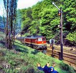132 413 vom Bw Halle (Saale) P fährt mit Reisezug in den Bahnhof Blankenheim (Kr Sangerhausen) ein. Die Jungen wurden vom Fotografen beim (verbotenen) Kippe rauchen überrascht. (14.05.1977) <i>Foto: Karsten Risch</i>
