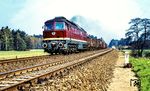 132 039 vom Bw Falkenberg (Elster) mit einem Güterzug nach Dresden bei Golßen (Niederl). (04.1975) <i>Foto: Karsten Risch</i>