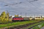 232 701 fährt mit einem Sonderzug von Erfurt nach Prag durch den Bahnhof Leipzig-Schönefeld. (23.08.2025) <i>Foto: Ralf Opalka</i>