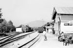 ÖBB 2095.03 mit einem Güterzug im Bahnhof Mittersill auf der Pinzgauer Lokalbahn von Zell am See (Anschluss an das ÖBB-Hauptbahnnetz) nach Vorderkrimml.  (05.1963) <i>Foto: Gerhard Karl</i>
