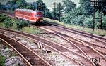 Ein unbekannter VT 06 als Ft 16 "Sachsenroß" (Hannover - Köln) am Abzweig Heide bei Schwerte (Ruhr). (07.1958) <i>Foto: Jörg Schulze</i>