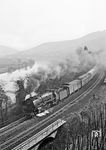 Bei einer DB Neubaukessel-01 war immer Verlass auf eine ordentliche Dampf- oder Rauchfahne. So räuchert erwartungsgemäß die Ehranger 001 227 vor dem E 1867 nach Koblenz das Moseltal bei Pünderich kräftig ein. (01.04.1971) <i>Foto: Wolfgang Bügel</i>