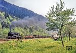 Durch den Bahnhof Hockeroda dampft 95 0037 mit einem Güterzug in Richtung Unterloquitz. (05.1977) <i>Foto: Karsten Risch</i>