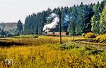 Zwischen Sternhaus-Haferfeld und Mägdesprung dampft 99 5904 durch die typische Hochmoorlandschaft des Harzes. Der Name "Sternhaus" stammt aus dem 17. Jahrhundert, nachdem hier insgesamt acht Wege aufeinandertrafen. (10.1979) <i>Foto: Karsten Risch</i>