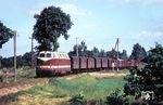 118 306 vom Bw Neustrelitz mit GmP 1248 (Feldberg - Neustrelitz) auf der Nebenbahn Feldberg (Meckl)–Thurow (Meckl) in Feldberg (Meckl). Die Mecklenburgische Friedrich-Wilhelm-Eisenbahn-Gesellschaft (MFWE) eröffnete die Strecke im Jahr 1890, die Bahn AG legte sie 2000 still. Beachtenswert ist auch die Zuggarnitur. (18.06.1970) <i>Foto: Bernd Kappel</i>