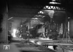 Im Lokschuppen der Zfst Wien Nord stehen 77.19 und 77.25. (1972) <i>Foto: Joachim Claus</i>