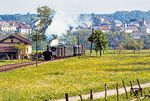 298.53 fährt mit P 3667 in die Haltestelle Neuzeug ein.  (08.1980) <i>Foto: Karsten Risch</i>