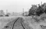 Blick über die Zonengrenze in Wenigentaft-Mansbach mit dem 1952 engültig unterbrochenen Streckengleis in Richtung Philippsthal–Vacha. (14.06.1966) <i>Foto: Wolfgang Jahn</i>