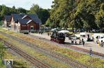Im alten Bahnhof Wilkau-Haßlau fuhr Gastlok 99 590 der Preßnitztalbahn auf dem 2021 wieder aufgebauten und 2023 eröffneten Traditions-Schmalspurgleis hin und her. (07.09.2025) <i>Foto: Andreas Höfig</i>