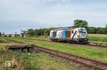 248 012 der Paribus Rail Portfolio III GmbH & Co. KG Hamburg (Fahrzeugmieter Locon Logistik) auf dem Weg nach Bad Kleinen in Grieben (Meckl). (29.08.2025) <i>Foto: Joachim Schmidt</i>