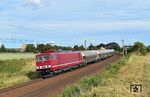 250 195 des Fahrzeugwerks Karsdorf mit einem DGS von Spreewitz nach Naumburg (Saale) am Abzweig Kornhain östlich von Wurzen. (04.09.2025) <i>Foto: Ralf Opalka</i>