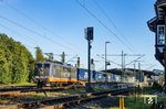 162 009 (ex 151 128) des schwedischen Eisenbahnverkehrsunternehmens Hectorrail fährt mit einem Huckepackzug durch den Bahnhof Rendsburg. (09.07.2025) <i>Foto: Thorsten Eichhorn</i>