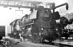 Die Kasselaner 01 1103 restauriert im Bw Münster (Westf).  (13.11.1966) <i>Foto: Bernd Kappel</i>