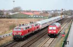 In Ausfahrt aus Niebüll überholen 218 345 und 218 340 vor IC 2375 "Wattenmeer" (Westerland/Sylt - Karlsruhe) die dort rangierende 245 024, die zuvor einen Autozug aus Sylt hierher gebracht hatte. (17.03.2017) <i>Foto: Joachim Schmidt</i>