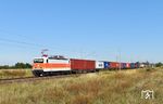 In Stumsdorf kam 143 175 der InterTourex GmbH Aschersleben (ITX) mit einem weiteren Containerzug von Rheinhausen nach Halle (Saale) vorbei. Die Lok erhielt im August 2025 einen lachsorange/grauen Anstrich in den früheren S-Bahn-Farben des Verkehrsverbundes Rhein/Ruhr erhalten hatte. (08.09.2025) <i>Foto: Ralf Opalka</i>