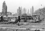 74 1230 am „Veltener Traditionszug“ mit zwei- und vierbeinigem Bewacher im Bw Berlin-Grunewald. (31.10.1984) <i>Foto: Manfred Verhoolen</i>