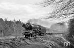 03 121 (Bw Wittenberge) mit dem "Interzonenzug" D 166 (Berlin - Hamburg) im Sachsenwald zwischen Friedrichsruh und Aumühle.  (14.04.1968) <i>Foto: Robin Fell</i>