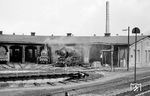 42 563, 78 424 und 50 4021 im Lokschuppen 2 des Bw Stralsund. (06.1967) <i>Foto: Robin Fell</i>