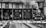 Ihren endgültigen Abstellplatz fand 03 1082 dann im Schuppen 2 im Bw Hannover Ost neben 03 289, 01 190 und 03 267. (23.08.1964) <i>Foto: Karl Wyrsch, Slg. D. Ammann</i>