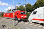 Das Ende der Baureihe 218 auf der Marschbahn rückt unaufhaltsam näher. Die Loks bekamen nochmals eine Galgenfrist über den Dezember 2025 hinaus, weil sich der Ersatz der IC-Züge durch ICE-L-Züge von Talgo noch bis zum Sommerfahrplan 2026 verzögern wird. So bleibt der 218 noch der gelegentliche Einsatz vor den IC-Zügen zwischen Itzehoe und Westerland (Sylt) übrig. Wenn man Pech hat, taucht dann statt der geplanten 218 doch eine 245 auf, wie hier 245 024, die in Itzehoe den IC 2130 "Nordfriesland" übernimmt.  (23.09.2025) <i>Foto: Joachim Bügel</i>