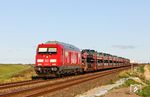 Die Baureihe 245 scheint mittlerweile zuverlässig vor den Autozügen zu laufen und hat im Sommer 2025 weitgehend die Baureihe 218 abgelöst. Hier zieht 245 027 den AS 1449 nach Westerland (Sylt) am Friedrich-Wilhelm-Lübke-Koog westlich von Klanxbüll. (23.09.2025) <i>Foto: Joachim Bügel</i>