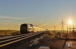 Sonnenaufgang am Friedrich-Wilhelm-Lübke-Koog westlich von Klanxbüll. 218 330 strebt mit RE 11052 (Husum - Westerland/Sylt) dem Hindenburgdamm entgegen. (24.09.2025) <i>Foto: Joachim Bügel</i>