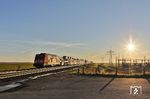 245 022 mit AS 1410 nach Westerland (Sylt) am Friedrich-Wilhelm-Lübke-Koog westlich von Klanxbüll. (24.09.2025) <i>Foto: Joachim Bügel</i>