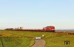 Vom Hindenburgdamm kommend ist 245 021 mit AS 1413 nach Niebüll am Friedrich-Wilhelm-Lübke-Koog unterwegs. (24.09.2025) <i>Foto: Joachim Bügel</i>